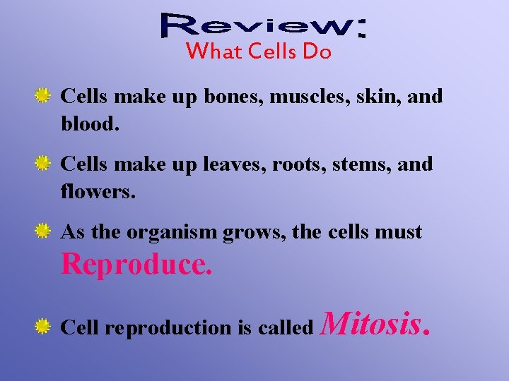 What Cells Do Cells make up bones, muscles, skin, and blood. Cells make up