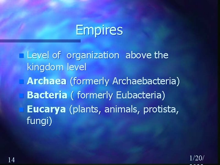 Empires Level of organization above the kingdom level n Archaea (formerly Archaebacteria) n Bacteria