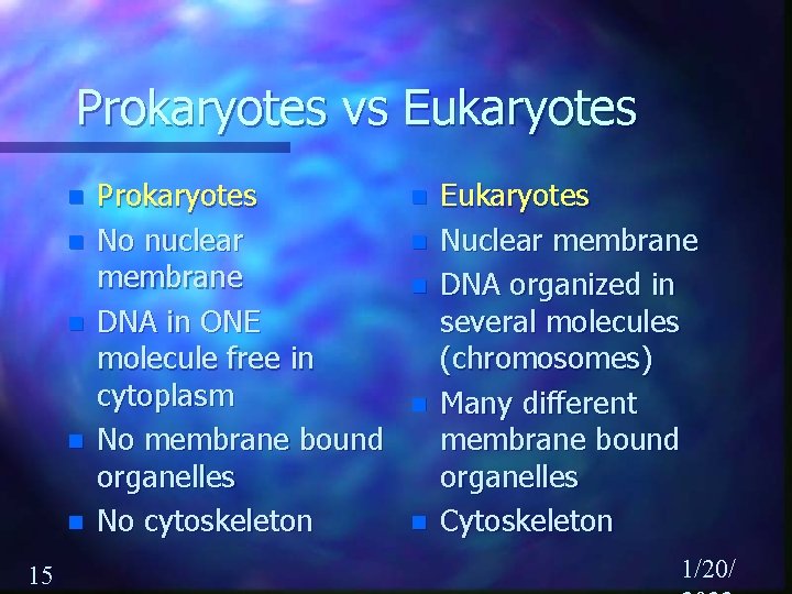 Prokaryotes vs Eukaryotes n n n 15 Prokaryotes No nuclear membrane DNA in ONE