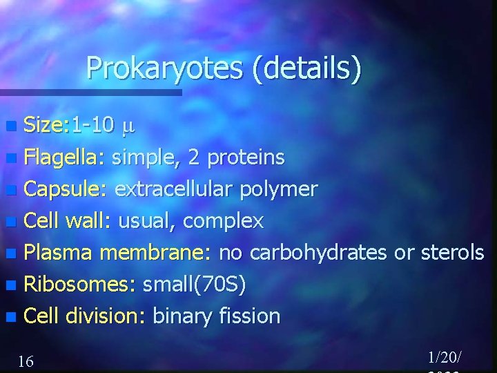 Prokaryotes (details) Size: 1 -10 m n Flagella: simple, 2 proteins n Capsule: extracellular