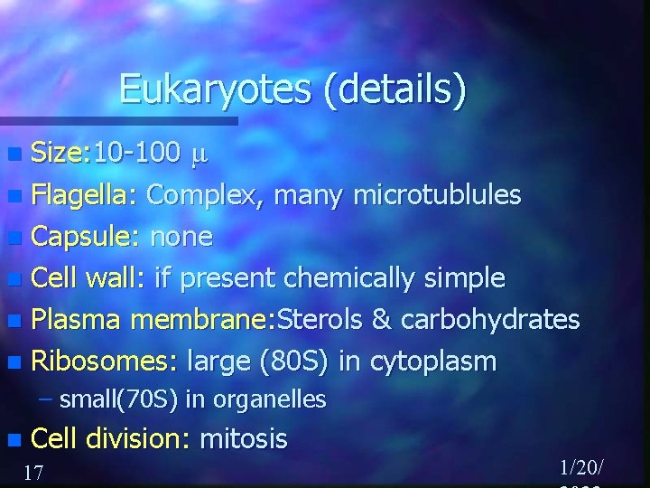 Eukaryotes (details) Size: 10 -100 m n Flagella: Complex, many microtublules n Capsule: none
