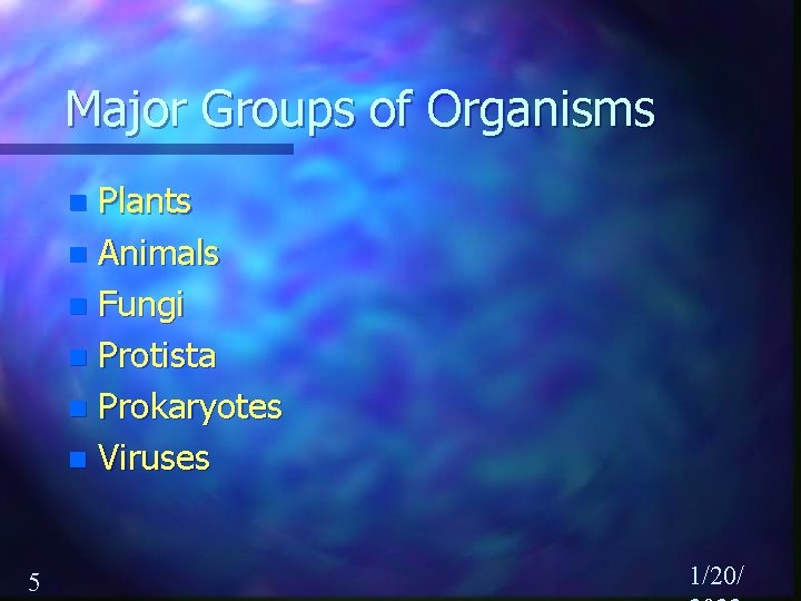 Major Groups of Organisms Plants n Animals n Fungi n Protista n Prokaryotes n