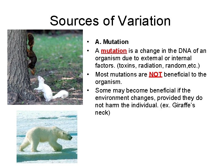Sources of Variation • A. Mutation • A mutation is a change in the Sources of Variation • A. Mutation • A mutation is a change in the