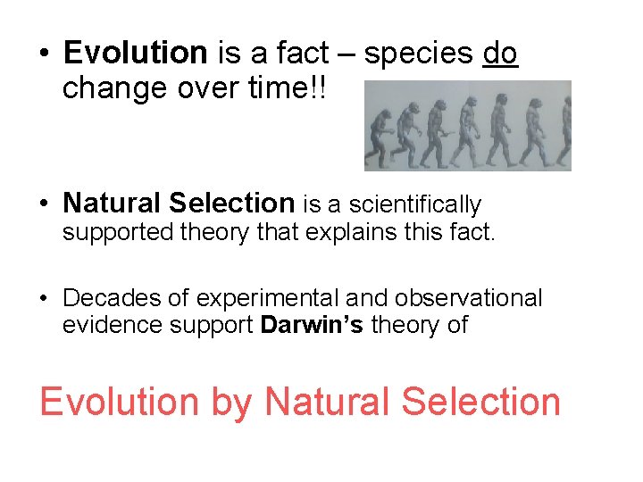  • Evolution is a fact – species do change over time!! • Natural