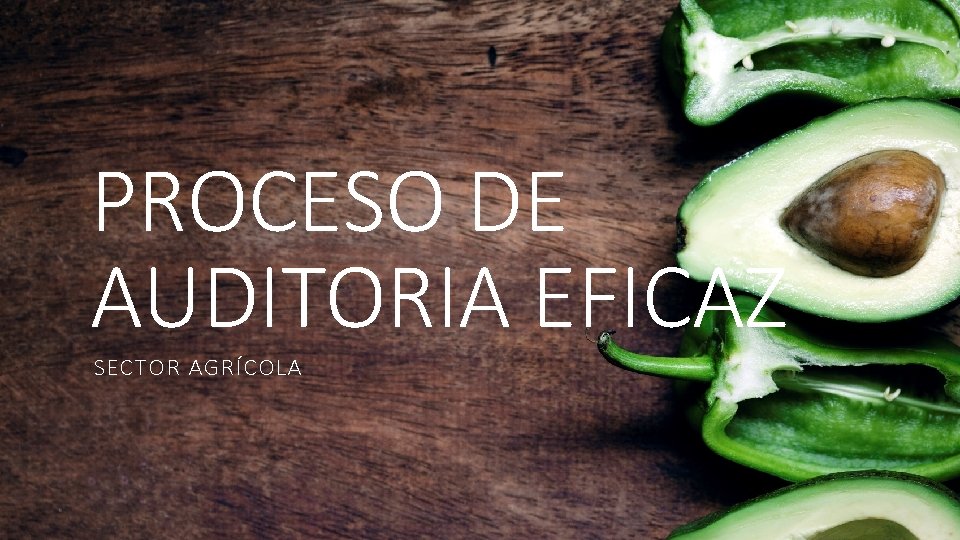 PROCESO DE AUDITORIA EFICAZ SECTOR AGRÍCOLA 