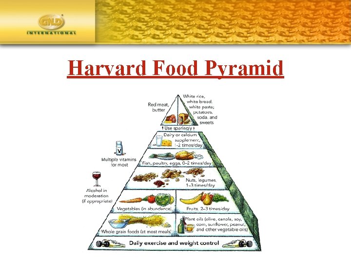 Harvard Food Pyramid 