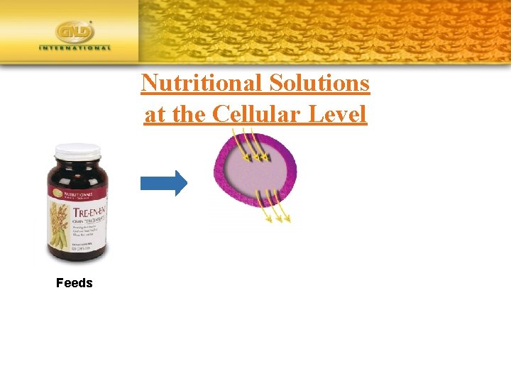 Nutritional Solutions at the Cellular Level Feeds 