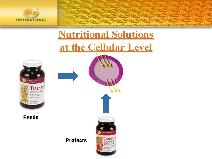 Nutritional Solutions at the Cellular Level Feeds Protects 