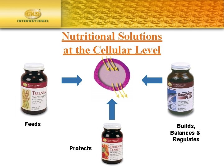 Nutritional Solutions at the Cellular Level Feeds Builds, Balances & Regulates Protects 
