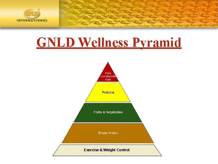 GNLD Wellness Pyramid Exercise & Weight Control 