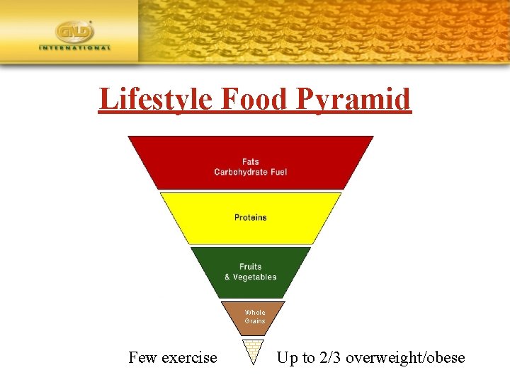 Lifestyle Food Pyramid Whole Grains Few exercise Up to 2/3 overweight/obese 