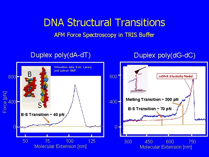 DNA Structural Transitions AFM Force Spectroscopy in TRIS Buffer Duplex poly(d. A-d. T) Force