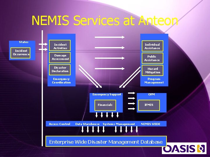 NEMIS Services at Anteon States Incident Occurrence Incident Activities Individual Assistance Damage Assessment Public