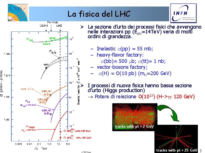La fisica del LHC Ø La sezione d’urto dei processi fisici che avvengono nelle