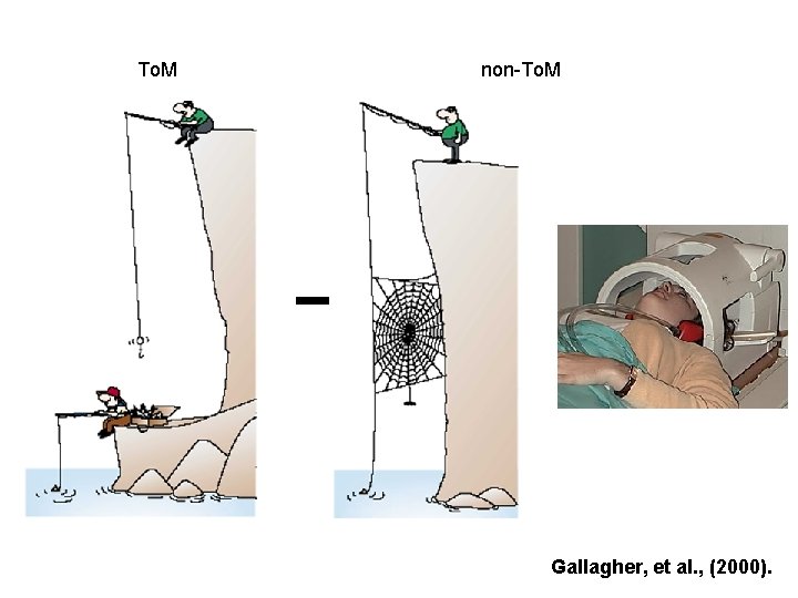 To. M non-To. M Gallagher, et al. , (2000). 