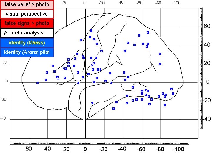 false belief > photo visual perspective false signs > photo meta-analysis identity (Weiss) identity