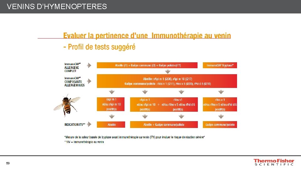 VENINS D’HYMENOPTERES 59 