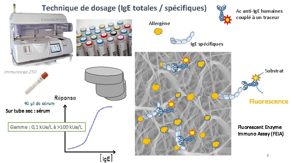 Technique de dosage (Ig. E totales / spécifiques) Allergène Ac anti-Ig. E humaines couplé