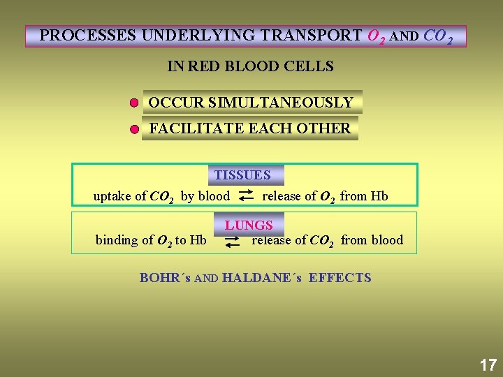 PROCESSES UNDERLYING TRANSPORT O 2 AND CO 2 IN RED BLOOD CELLS OCCUR SIMULTANEOUSLY