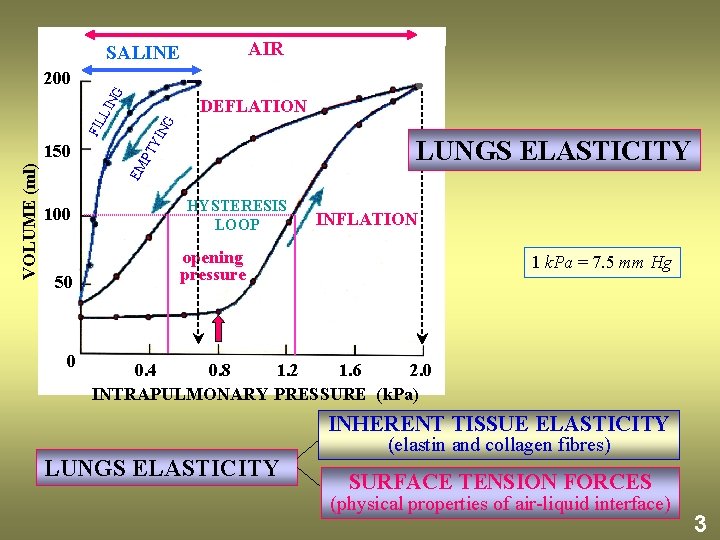 AIR SALINE G 200 NG LUNGS ELASTICITY EM VOLUME (ml) 150 PT YI FIL