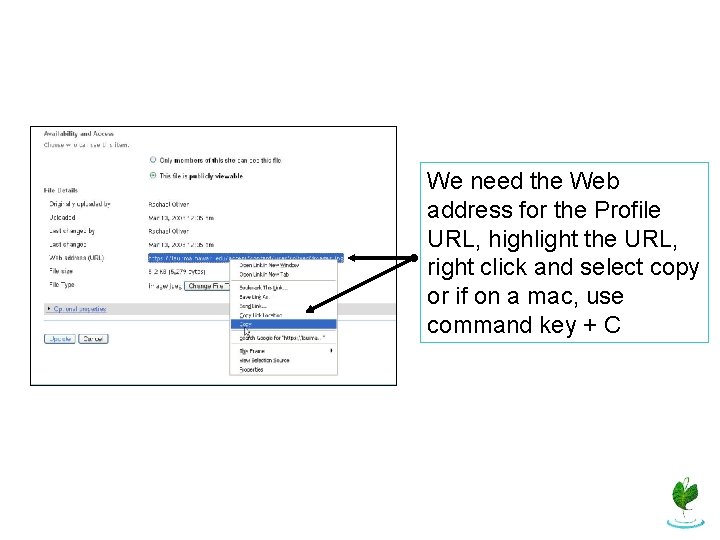 We need the Web address for the Profile URL, highlight the URL, right click