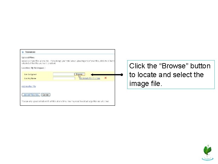 Click the “Browse” button to locate and select the image file. 