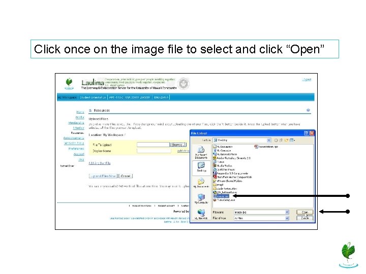 Click once on the image file to select and click “Open” 