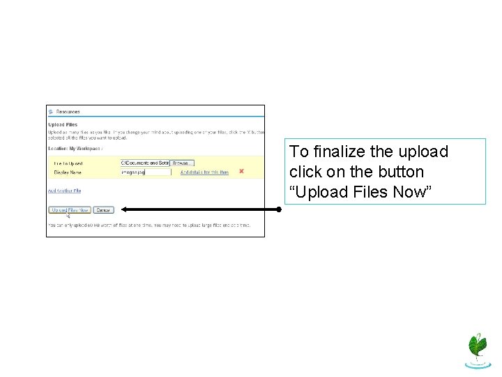 To finalize the upload click on the button “Upload Files Now” 