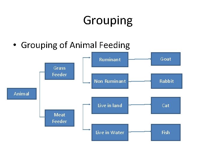 Grouping • Grouping of Animal Feeding Ruminant Goat Non Ruminant Rabbit Live in land