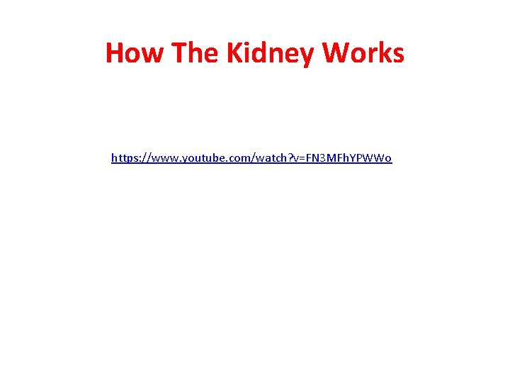 How The Kidney Works https: //www. youtube. com/watch? v=FN 3 MFh. YPWWo How The Kidney Works https: //www. youtube. com/watch? v=FN 3 MFh. YPWWo