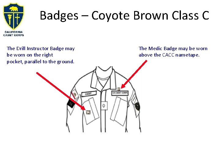 Badges – Coyote Brown Class C The Drill Instructor Badge may be worn on