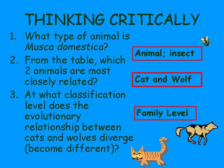 THINKING CRITICALLY 1. What type of animal is Musca domestica? Animal; insect 2. From