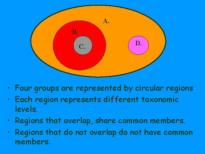 A. B. C. D. • Four groups are represented by circular regions • Each