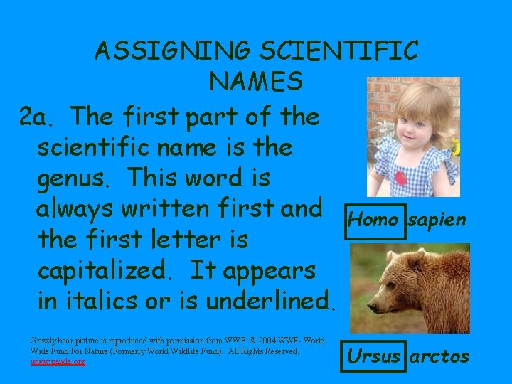 ASSIGNING SCIENTIFIC NAMES 2 a. The first part of the scientific name is the