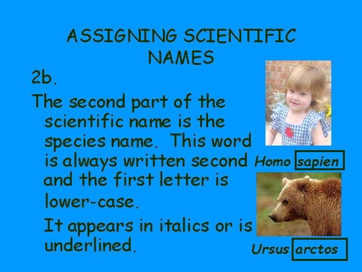 ASSIGNING SCIENTIFIC NAMES 2 b. The second part of the scientific name is the