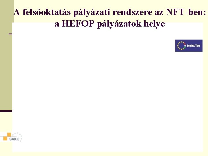 A felsőoktatás pályázati rendszere az NFT-ben: a HEFOP pályázatok helye 