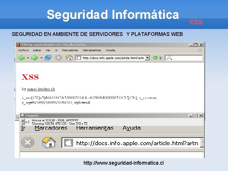 Seguridad Informática SEGURIDAD EN AMBIENTE DE SERVIDORES Y PLATAFORMAS WEB http: //www. seguridad-informatica. cl Seguridad Informática SEGURIDAD EN AMBIENTE DE SERVIDORES Y PLATAFORMAS WEB http: //www. seguridad-informatica. cl