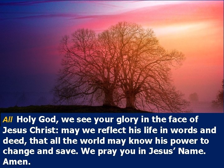 All Holy God, we see your glory in the face of Jesus Christ: may