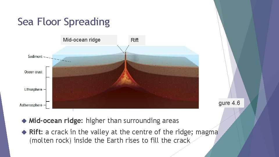 Sea Floor Spreading Mid-ocean ridge Rift Figure 4. 6 Mid-ocean ridge: higher than surrounding