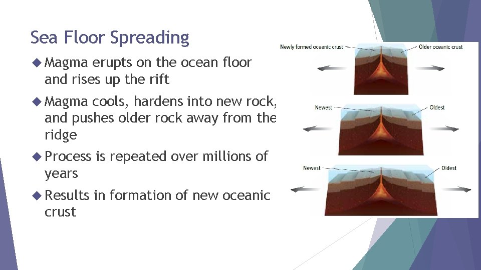 Sea Floor Spreading Magma erupts on the ocean floor and rises up the rift