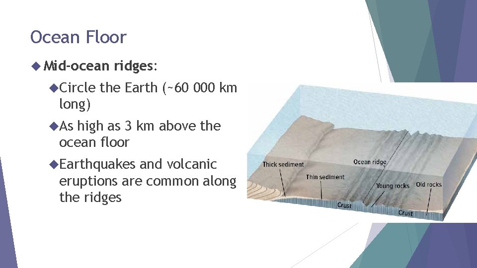 Ocean Floor Mid-ocean Circle ridges: the Earth (~60 000 km long) As high as