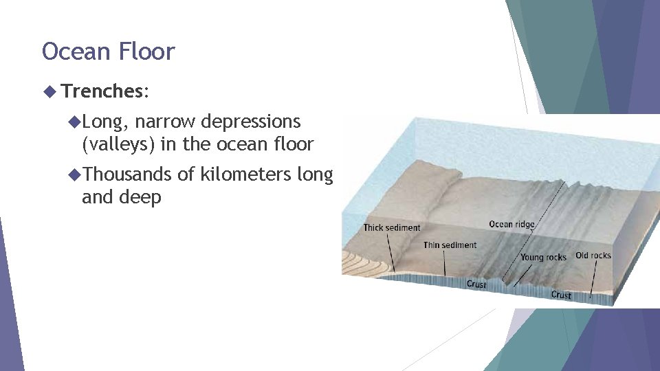 Ocean Floor Trenches: Long, narrow depressions (valleys) in the ocean floor Thousands and deep