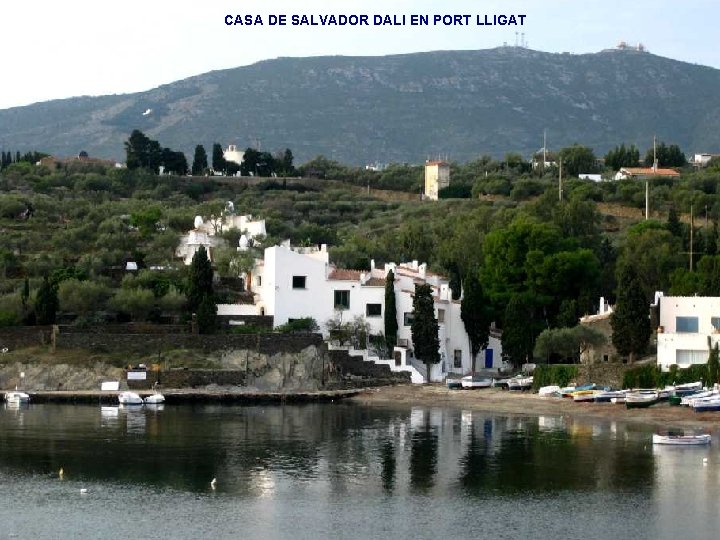 CASA DE SALVADOR DALI EN PORT LLIGAT CASA DE SALVADOR DALI EN PORT LLIGAT