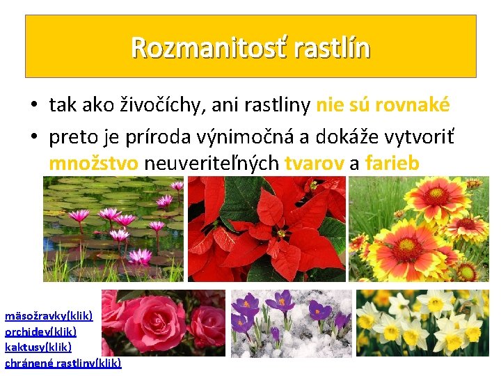 Rozmanitosť rastlín • tak ako živočíchy, ani rastliny nie sú rovnaké • preto je