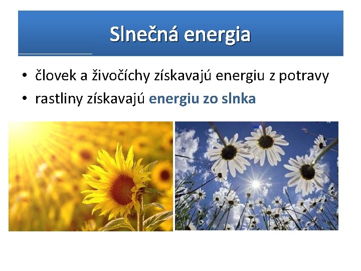 Slnečná energia • človek a živočíchy získavajú energiu z potravy • rastliny získavajú energiu