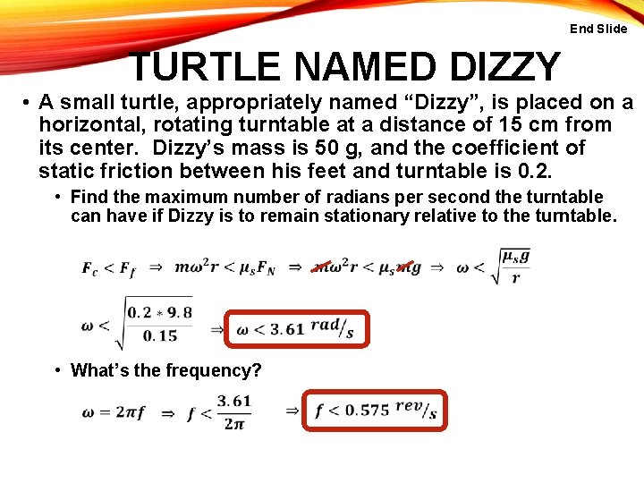 End Slide TURTLE NAMED DIZZY • A small turtle, appropriately named “Dizzy”, is placed