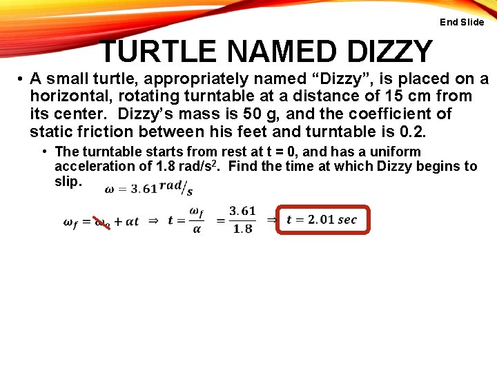 End Slide TURTLE NAMED DIZZY • A small turtle, appropriately named “Dizzy”, is placed