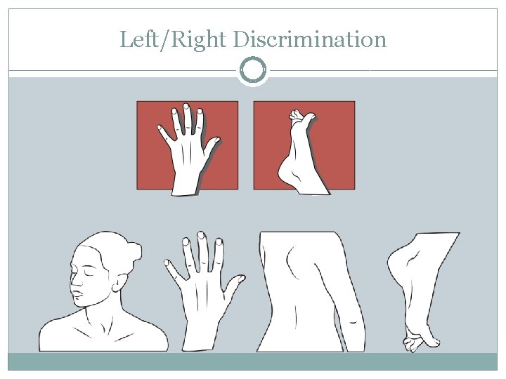 Left/Right Discrimination 