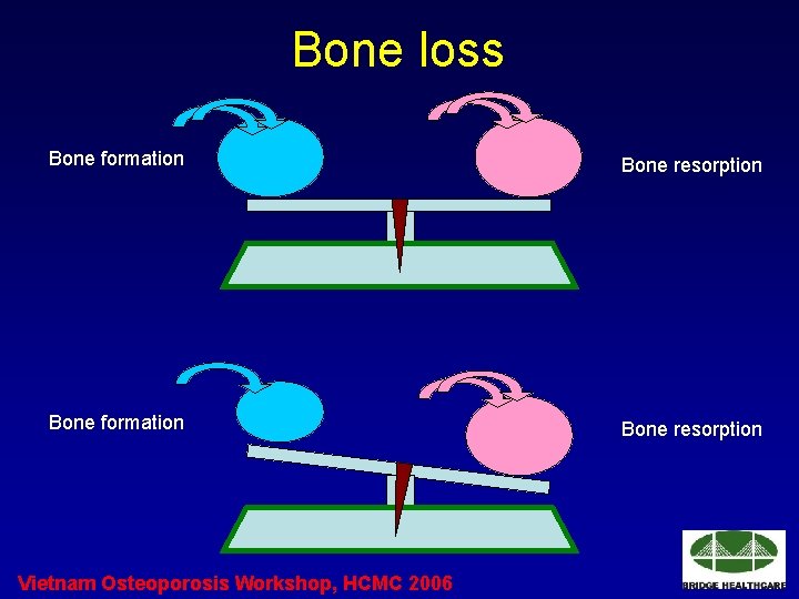 Bone loss Bone formation Bone resorption Vietnam Osteoporosis Workshop, HCMC 2006 