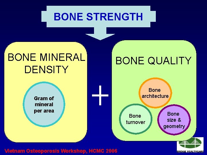 BONE STRENGTH BONE MINERAL DENSITY BONE QUALITY Gram of mineral per area Vietnam Osteoporosis